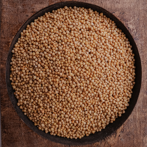 Mustard Seed Yellow Organic