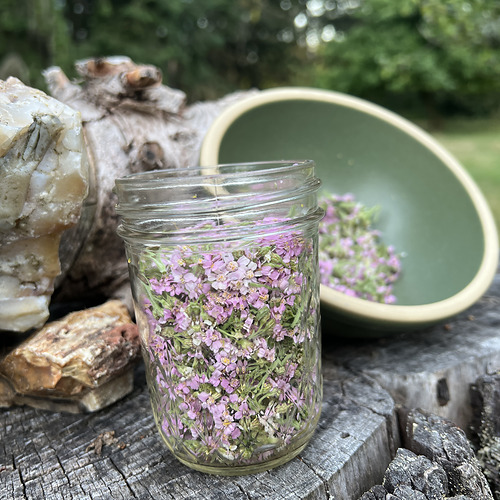 Yarrow Organic
